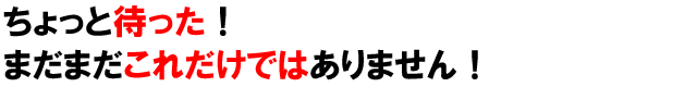 ������Ƒ҂����I�܂��܂����ꂾ���ł͂���܂���I