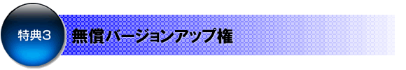 特典3